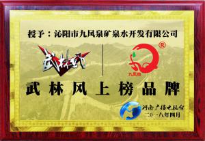 九鳳泉榮獲河南省武林風(fēng)上榜品牌